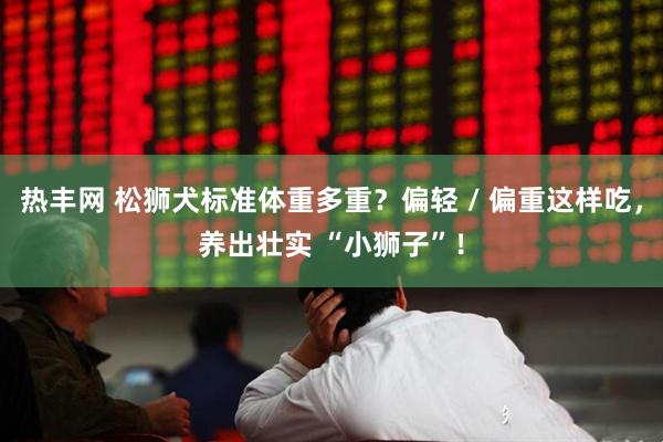热丰网 松狮犬标准体重多重？偏轻 / 偏重这样吃，养出壮实 “小狮子”！