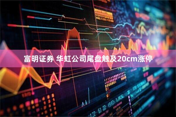 富明证券 华虹公司尾盘触及20cm涨停
